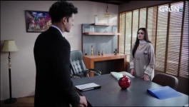 Rahguzar - Episode 30